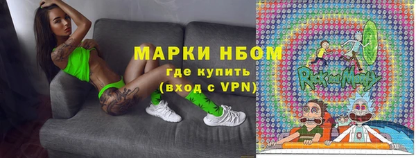 прущая мука Ельня