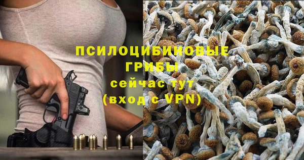стафф Нязепетровск