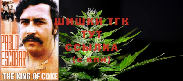 метадон Няндома