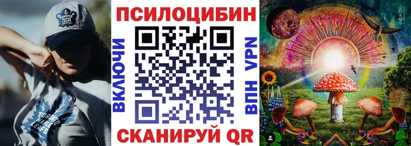 Галлюциногенные грибы Psilocybine cubensis  купить   Кумертау 