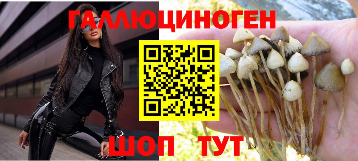 Кумертау  Псилоцибиновые грибы Psilocybine cubensis  Вход с VPN 